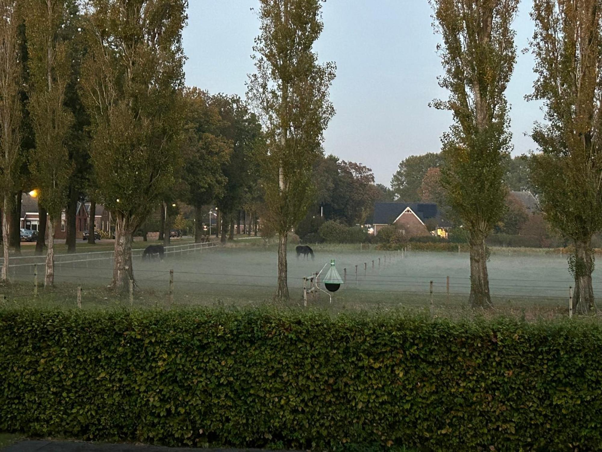 De Cordobahoeve Tweede Exloermond Zewnętrze zdjęcie